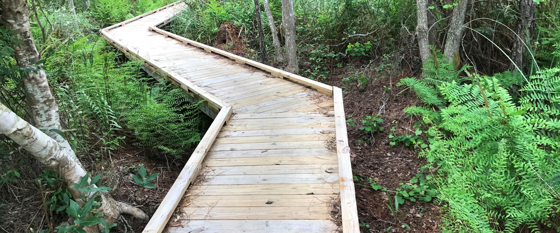 Exploring Alabama's State Parks and Hiking Trails