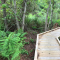 Exploring Alabama's State Parks and Hiking Trails