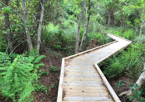 Exploring Alabama's State Parks and Hiking Trails
